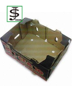 Fruit Box 01